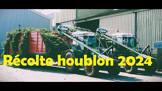 Récolte du houblon 2024 [upl. by Aremaj]