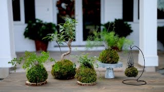 How to Make Kokedama Full Version  Garden Answer [upl. by Mercuri]