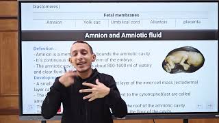 Lecture 8 embryology Amniotic cavity Foundation module Dr Adham Saleh [upl. by Erodeht912]