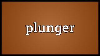 Plunger Meaning [upl. by Burger]