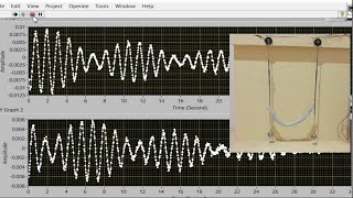 Coupled Oscillator [upl. by Metabel]