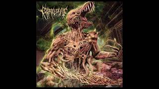 Coprocephalic  Gluttonous Chunks Full Album [upl. by Pearlman923]