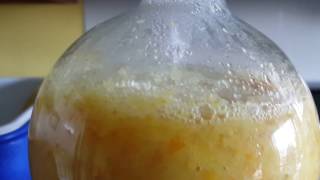 Chemistry extracting limonene oil part 1 [upl. by Leiso985]