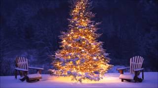 Arion  Carols Of The Bells Christmas Dubstep Remix [upl. by Giraud69]