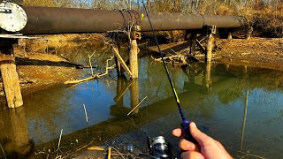 Bank Fishing Bluegill and Crappie [upl. by Acessej835]