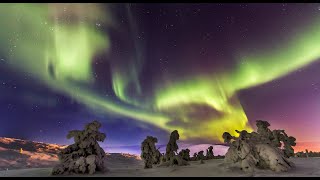 Auroras boreales Laponia Finlandia Aurora polar luces del norte  aurora polaris Rovaniemi Turismo [upl. by Spancake]