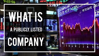 What is a Publicly Listed Company  What does it mean to be a public company  AML Tutorial [upl. by Hizar]