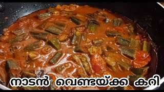 തേങ്ങ ചേർക്കാത്ത അടിപൊളി വെണ്ടയ്ക്ക കറി  No Coconut Vendakka Curry Recipes In Malayalam [upl. by Venita]