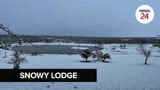 WATCH  Cheetah Ridge Lodge in KZN transforms into a winter wonderland with morning snowfall [upl. by Ahsienak]