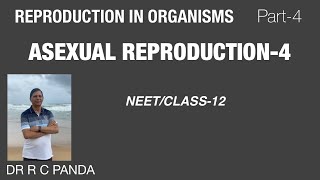 ASEXUAL REPRODUCTION4  REPRODUCTION IN ORGANISMS PART4  NEET  CLASS12  Dr Ramesh Panda [upl. by Egiarc]