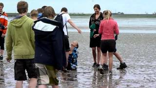 Wadlopen 2Havo WF 4 juni 2012  MPEG4 HDmp4 [upl. by Fen]