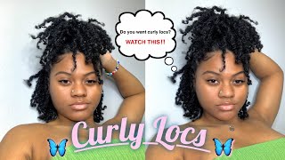 CURLY LOCS   How to take out your old two strand style  5 month starter locs [upl. by Ranchod]