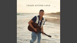 Crazy Stupid Love [upl. by Perla825]