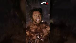 ¿Qué pasa con WOLVERINE cada vez que Muere [upl. by Kashden430]