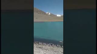 Gurudongmar lake  Sikkim ytshorts nature lake [upl. by Nairolf485]