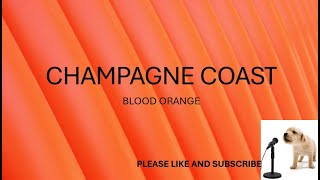 CHAMPAGNE COAST BY BLOOD ORANGE LYRICS [upl. by Liddle352]