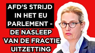 🔴De strijd van AFD in het Europees Parlement  De gevolgen van de uitsluiting van een fractie [upl. by Brose316]