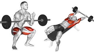 8 Barbell Exercises for a Complete FullBody Transformation [upl. by Butch150]