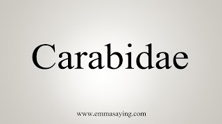 How To Say Carabidae [upl. by Krock]