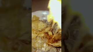 Cheeze lazania pasta shortvideo food [upl. by Asilam]