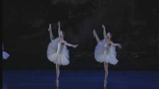 Swan Lake Act II  Big Swans Dance [upl. by Arundell]