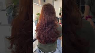 Hair Transformation haircare hairstyle hairdo hairtransformation haircut new haircolor hair [upl. by Burdett]