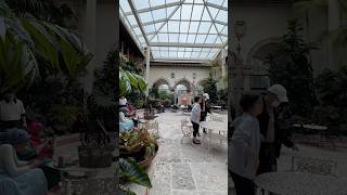 Vizcaya Museum amp Gardens shorts [upl. by Elletnahc]