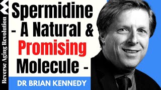 SPERMIDINE – A Natural amp Promising Molecule  Dr Brian Kennedy Interview Clips [upl. by Bruner275]