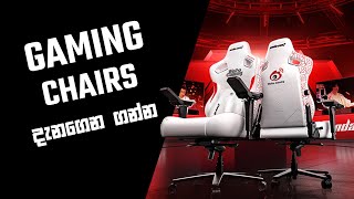 Gaming Chairs  To buy or Not to Buy [upl. by Noral717]