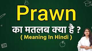 Prawn meaning in hindi  Prawn ka matlab kya hota hai  Word meaning [upl. by Haon]