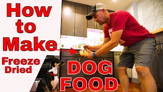 How to Make Your Own Freeze Dried Dog Food Recipe [upl. by Jennings200]