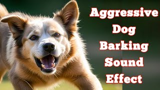 Aggressive Dog Barking Sound  Vicious Dog Barking Sound Effect [upl. by Jareb]