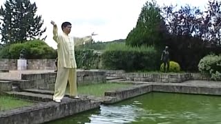 Les 18 exercices du Tai Ji Qi Gong [upl. by Enimsaj]