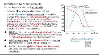 Herz 7 QTVerlängerung  LQT  LongQTSyndrom  und Torsades de Pointes [upl. by Amin]