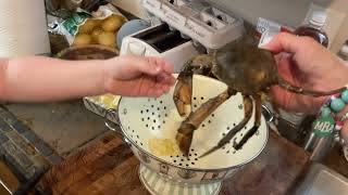 Conner feeds chips to a crab 101924 [upl. by Adolfo]