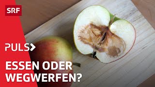 Stop Food Waste – der richtige Umgang mit der Haltbarkeit von Lebensmittel  Puls  SRF Wissen [upl. by Avrenim]