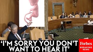 John Kennedy Relentlessly Grills ProChoice Witness Snaps At Sheldon Whitehouse For Cutting Him Off [upl. by Annerol]