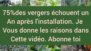 75 des vergers échouent un an après linstallation je vous les raisons dans cette vidéo [upl. by Trovillion]