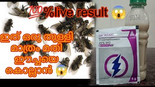 വെറും Rs 24 രൂപ ചെലവാക്കാൻ ready ആണോഎങ്കിൽ നിങ്ങളുടെ വീടിന്റെ പരിസരത്തു പോലും ഇനി ഈച്ചകൾ വരില്ല😱 [upl. by Fayina]