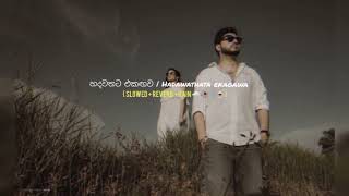 හදවතට එකඟව  Hadawathata ekagawa  slowed  reverb  Cover 🌧️🥀🖇️🍷 [upl. by Eeralav]