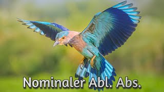 Der Nominale Abl Abs in 45 Sekunden [upl. by Onitsuaf197]