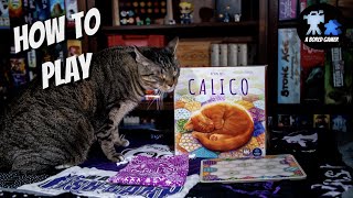 How to Play Calico [upl. by Suilenroc620]