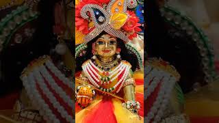 November 4 2024 laddu gopal shortsviral youtubeshorts [upl. by Alletneuq]