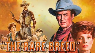 The Rare Breed 1966 Movie  James Stewart Maureen OHara Brian Keith  Review and Facts [upl. by Florrie571]