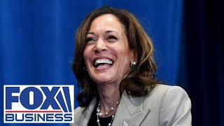 Former acting ICE director This is why Kamala was chosen to be ‘border czar’ [upl. by Yreffej]