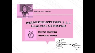 Manipulations Logiciel Synapse [upl. by Enelak]