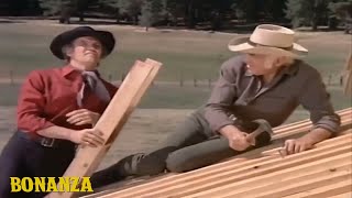 Bonanza Season 4 Episode 21  The Hayburner  COWBOY  Free Western Series  Englishs [upl. by Kyte275]