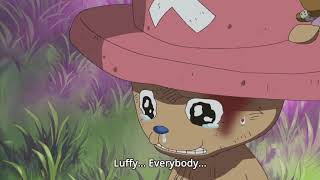 ONE PIECE CUTE AND FUNNY CHOPPER MOMENT [upl. by Thackeray]