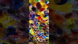 Dale Chihuly Glass Artwork  Bellagio Resort Las Vegas chihuly bellagiolasvegas shorts [upl. by Alban]