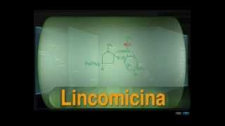 Tetraciclinas y Clindamicina [upl. by Orecul]